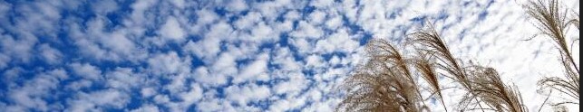 写真は秋空のうろこ雲